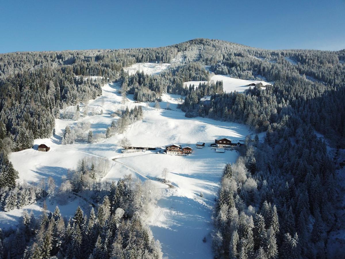 Pension Bergbauernhof Irxner Pichl-Preunegg Luaran gambar