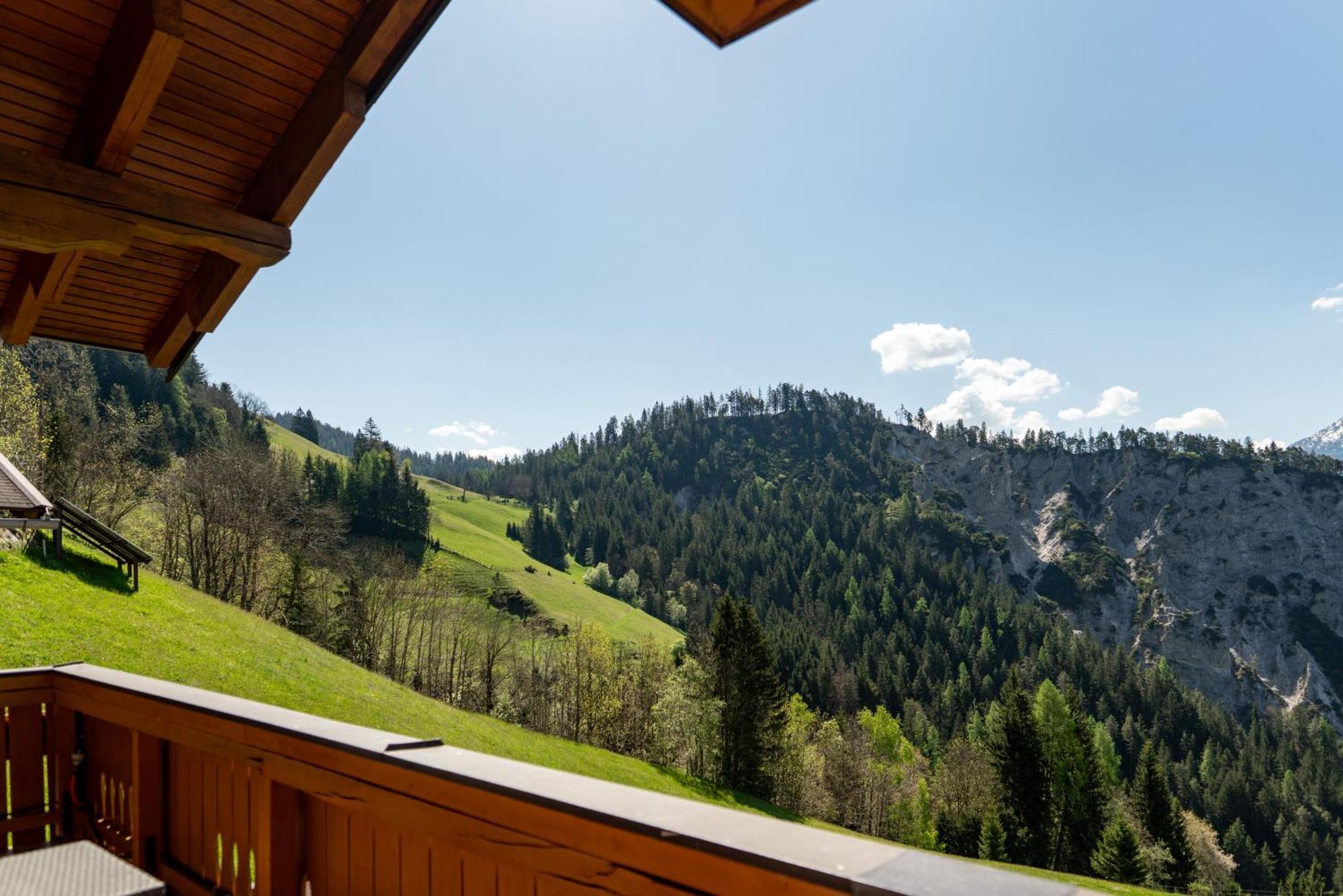 Pension Bergbauernhof Irxner Pichl-Preunegg Luaran gambar